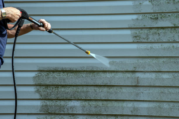 Best Gutter Cleaning  in Wyoming, PA